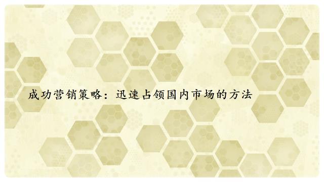 成功营销策略：迅速占领国内市场的方法